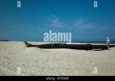 Am Strand, Langeoog. Deutschland. Deutschland. Eine touristische inspiziert die kommerziellen Pipeline als Teil des aktiven Strand Umbau, Strandaufschüttung verwendet. Es ist der Maßstab der Pipeline und die Breite der Sandstrand deutlich. Stockfoto