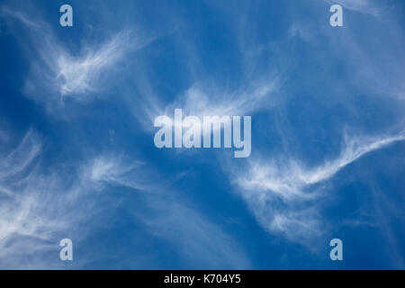 Ein tief blauen Himmel mit Zirruswolken. Stockfoto