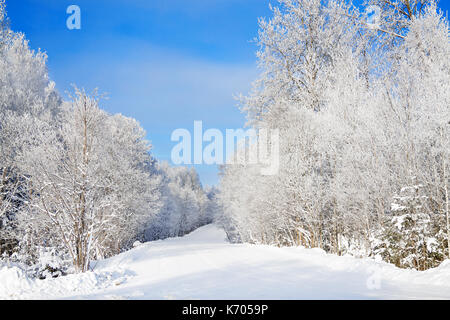 Schönen winter ländliche Landschaft mit Wald, Schnee, Straße und blauer Himmel an einem klaren Tag. verschneite Landschaft Stockfoto