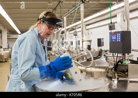 Fort Collins, Colorado - Amy Gurza, eine biologische Wissenschaft Techniker, prüft den Inhalt der einen Tank mit flüssigem Stickstoff, in der die Samen und anderen Ge Stockfoto