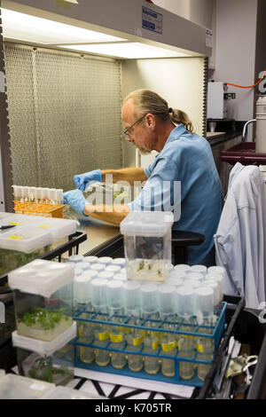 Fort Collins, Colorado - Das nationale Labor für Genetische Ressourcen Erhaltung, eine Einheit von der Abteilung für Landwirtschaft. Bradford Hall, ein biologi Stockfoto