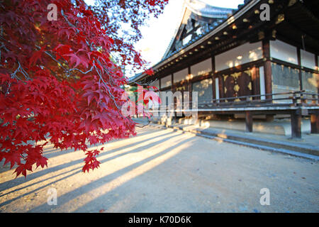 Japan Herbstlandschaft anzeigen Stockfoto