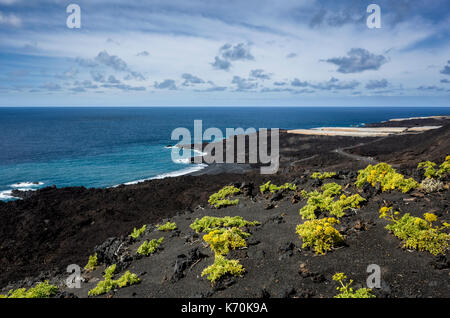 Salinas de Fuencaliente de La Palma, Fuencaliente. La Palma. Ein Blick entlang der Küste aus Lavagestein mit einigen Vegetation im Vordergrund vor den Stränden und tiefblauen Meer unter blauem Himmel. Kleine Wolken über den Himmel sorgt für eine dramatische skyscape. Starke Sonneneinstrahlung backt die Vegetation auf dieser spärliche trockene Landschaft. Stockfoto