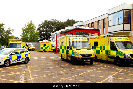 Queen Elizabeth Hospital, Unfall & Emergency Unit, A&E, Krankenwagen, Polizeiwagen, Kings Lynn, Norfolk, England, UK, NHS Krankenhäuser, Rettungsdienste Stockfoto