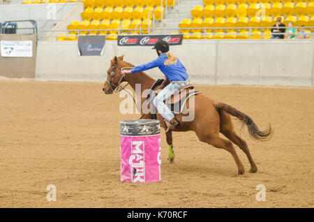 Reitsport, meine Damen National Finals Barrel Race am australischen Pferden und Vieh Events Center (AELEC) Indoor Arena, Tamworth NSW Australien, Sept. Stockfoto