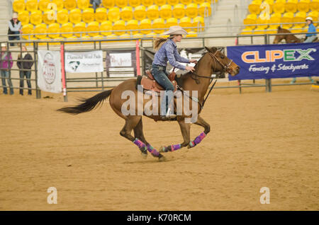 Reitsport, meine Damen National Finals Barrel Race am australischen Pferden und Vieh Events Center (AELEC) Indoor Arena, Tamworth NSW Australien, Sept. Stockfoto