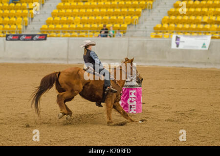 Reitsport, meine Damen National Finals Barrel Race am australischen Pferden und Vieh Events Center (AELEC) Indoor Arena, Tamworth NSW Australien, Sept. Stockfoto