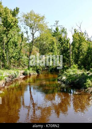 Creek geschwollen mit Wasser. Gainesville, Alachua County, Florida, USA, Stockfoto