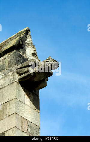 Ein wasserspeier an der St. Mary's Church, Sileby, Leicestershire, England, Großbritannien Stockfoto