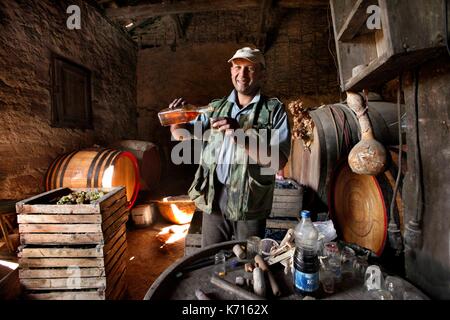 Serbien, Rogljevo, Serbisch Winzer ihre Weine vorbereiten Stockfoto