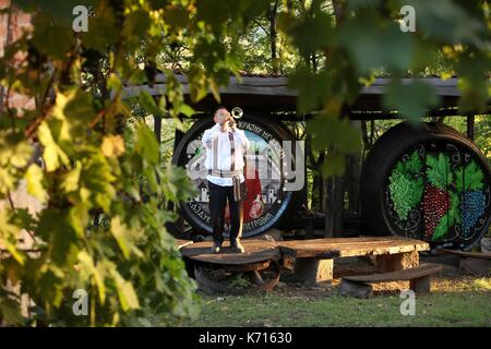 Serbien, Rogljevo, Serbien dank zwei Franzosen eine der ältesten Weinberge Europas belebt mit einer fünfzehn Jahrhunderte alten Tradition. Im 19. Jahrhundert das Dorf Rogljevo exportiert Wein in ganz Europa. 1864 im goldenen Napoleons bezahlt diese serbische Wein ist in den internationalen Ausstellungen und wurde auf dem Schloss von Versailles dienten dann später auf der Titanic. Die Rogljevo Keller aus Stein gebaut sind auf der Liste der außergewöhnlichen historischen und kulturellen Einrichtungen von Serbien eingeschrieben und haben für die Beschriftung auf der UNESCO vorgelegt. Stockfoto