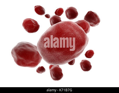 Red anormaler Blutzellen auf weißem Hintergrund Stockfoto