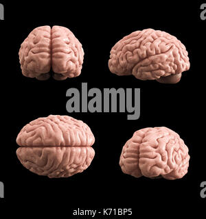 Künstliche menschliche Gehirn Modell, 3D-Rendering, schwarzer Hintergrund Stockfoto