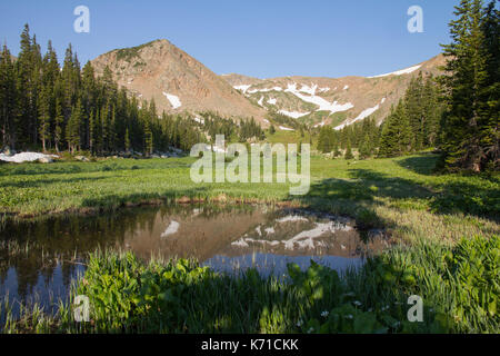 Reflexionen in einem kleinen Teich unter Rogers Pass in der James Peak Wilderness, Colorado. Stockfoto