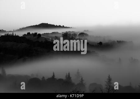 Hügel und Bäume, die sich aus einem Tal mit Nebel gefüllt Stockfoto