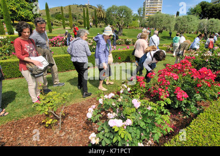 Rosen Wettbewerb. Cervantes Park, Parc de Cervantes, der Avenida Diagonal 708-716, in Pedralbes Viertel, Stadtteil Les Corts, Barcelona, Katalonien, Stockfoto