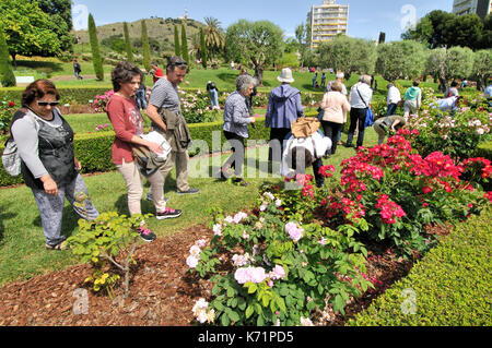 Rosen Wettbewerb. Cervantes Park, Parc de Cervantes, der Avenida Diagonal 708-716, in Pedralbes Viertel, Stadtteil Les Corts, Barcelona, Katalonien, Stockfoto