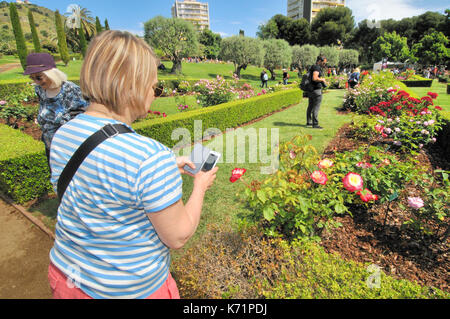 Rosen Wettbewerb. Cervantes Park, Parc de Cervantes, der Avenida Diagonal 708-716, in Pedralbes Viertel, Stadtteil Les Corts, Barcelona, Katalonien, Stockfoto