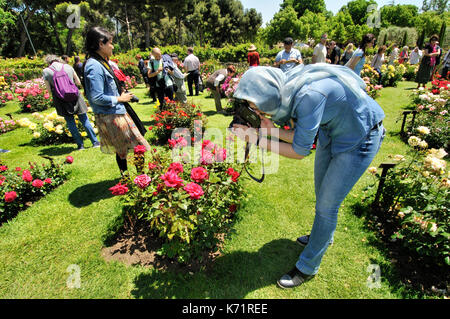 Rosen Wettbewerb. Cervantes Park, Parc de Cervantes, der Avenida Diagonal 708-716, in Pedralbes Viertel, Stadtteil Les Corts, Barcelona, Katalonien, Stockfoto