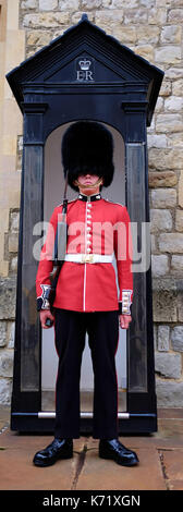 Beefeater Sentry die Bewachung der Tower, London, UK Stockfoto