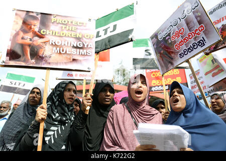 Colombo, Sri Lanka. 14 Sep, 2017. Die Mitglieder von "Thawheed Jama'th (SLTJ)" muslimischen Organisationen in einer Kundgebung gegen angebliche Tötung der Rohingya Muslime in Myanmar am 14. September 2017 in Colombo, Sri Lanka Protest beteiligen. Credit: Lahiru hat Harshana/Alamy leben Nachrichten Stockfoto