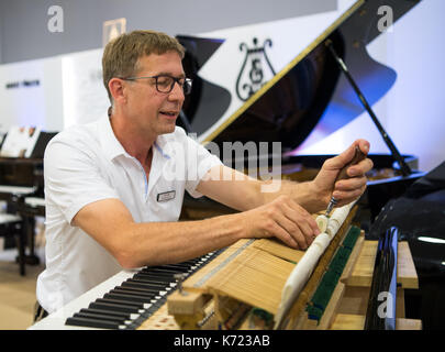 Dresden, Deutschland. 14 Sep, 2019. Klavierbauer Bert Kirsten intoniert die Hämmer von einem Klavier während einer Tour von der Handwerkskammer in Dresden, Deutschland, 14. September 2019 organisiert. Die Kammer organisierte Tag des Handwerks findet am 16. September 2017. Foto: Monika Skolimowska/dpa-Zentralbild/dpa/Alamy leben Nachrichten Stockfoto