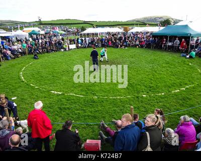 Cumbria, Großbritannien. September 2017. Luftaufnahmen der Westmorland County Show in Cumbria. Es ist die 218. Show, die 1799 begann. Der herrliche Sonnenschein traf Tausende von Besuchern der jährlichen Veranstaltung auf dem Messegelände in der Nähe der M6. Zu den verschiedenen Attraktionen gehörten Imbisshallen, Kunsthandwerk, landwirtschaftliche Fahrzeuge, Tiershows und Reiten. Bild vom 14.09.2017. Quelle: Stop Press Media/Alamy Live News Stockfoto