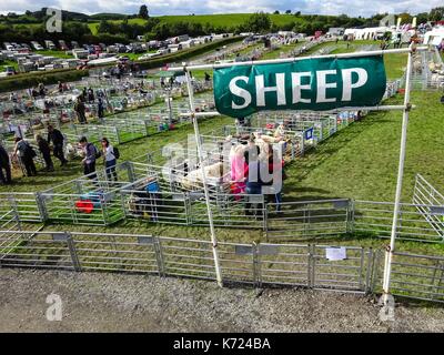 Cumbria, Großbritannien. September 2017. Luftaufnahmen der Westmorland County Show in Cumbria. Es ist die 218. Show, die 1799 begann. Der herrliche Sonnenschein traf Tausende von Besuchern der jährlichen Veranstaltung auf dem Messegelände in der Nähe der M6. Zu den verschiedenen Attraktionen gehörten Imbisshallen, Kunsthandwerk, landwirtschaftliche Fahrzeuge, Tiershows und Reiten. Bild vom 14.09.2017. Quelle: Stop Press Media/Alamy Live News Stockfoto