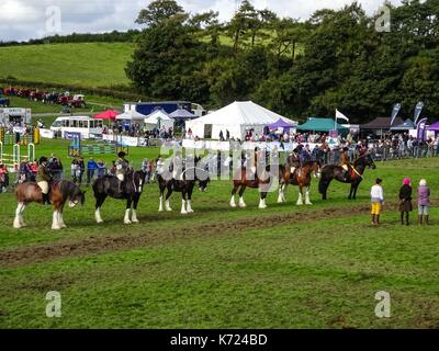 Cumbria, Großbritannien. September 2017. Luftaufnahmen der Westmorland County Show in Cumbria. Es ist die 218. Show, die 1799 begann. Der herrliche Sonnenschein traf Tausende von Besuchern der jährlichen Veranstaltung auf dem Messegelände in der Nähe der M6. Zu den verschiedenen Attraktionen gehörten Imbisshallen, Kunsthandwerk, landwirtschaftliche Fahrzeuge, Tiershows und Reiten. Bild vom 14.09.2017. Quelle: Stop Press Media/Alamy Live News Stockfoto