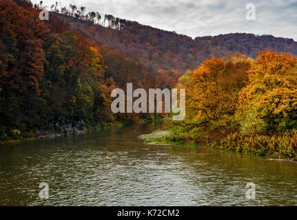 Wald Fluss im Herbst Berge. Schönen grasigen Ufer mit vergilbten Bäume und felsigen Klippen. traumhafte Natur herbstliche Landschaft. hohe Sicht Stockfoto