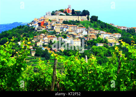 Weinberg Landschaft in Istrien, Kroatien, Stadt Motovun auf dem Hügel im Hintergrund Stockfoto