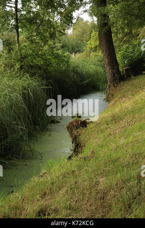 Stream in Crist Kirche Hochschule gründen Stockfoto