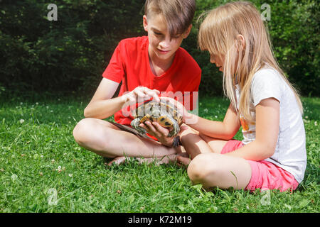 Bruder und Schwester legere Kleidung sitzt auf einem Rasen in einen Sommergarten holding Schildkröte Stockfoto