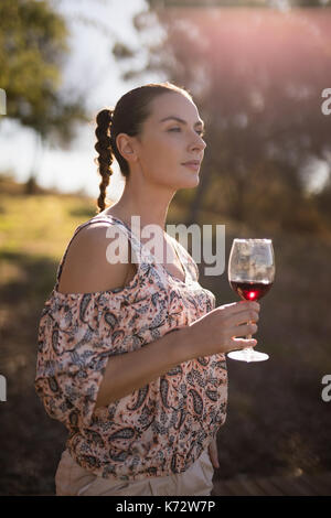 Nachdenkliches Weib, das hatte ein Glas Wein während der Safari Ferienhäuser Stockfoto