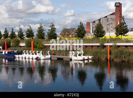 Blick auf den Fluss Lea, in der Queen Elizabeth Olympic Park, Stratford, London Stockfoto