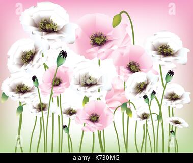 Schönes Rot, Rosa und weissen Mohn Stock Vektor