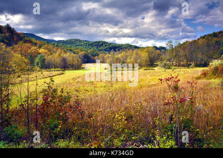 Ein Sturz auf die Landschaft bei Hogpen Lücke, Georgia, USA Stockfoto