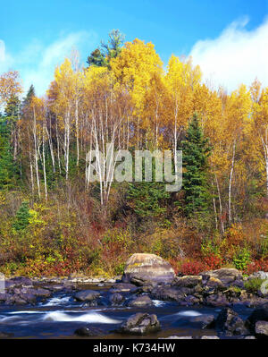 Ein Blick auf die Landschaft, die langen Teich River, Maine, USA Stockfoto