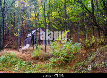 Ein Blick auf einem abgelegenen und heruntergekommenen Hütte im Wald in ländlichen Georgia, USA Stockfoto