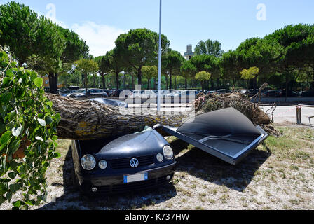 Auto Schäden nach Sturm tornado fallen nach unten Stockfoto