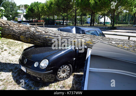 Auto Schäden nach Sturm tornado fallen nach unten Stockfoto