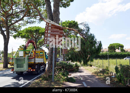 Zerstörung Zeichen Camping nach Sturm tornado Straße Baum beschädigt Stockfoto