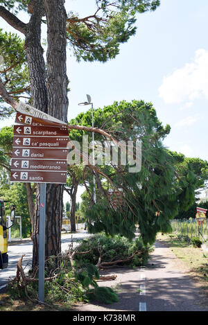 Zerstörung Zeichen Camping nach Sturm tornado Straße Baum beschädigt Stockfoto