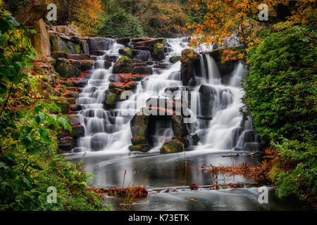 Die Kaskaden Wasserfall im Herbst. Virginia Wasser, Surrey. UK. Eine lange Exposition gibt dem milchig weißen Bewegungsunschärfe von Wasser über die Felsen stürzen Stockfoto