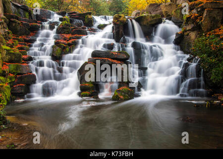 Die Kaskaden Wasserfall im Herbst. Virginia Wasser, Surrey. UK. Eine lange Exposition gibt dem milchig weißen Bewegungsunschärfe von Wasser über die Felsen stürzen Stockfoto