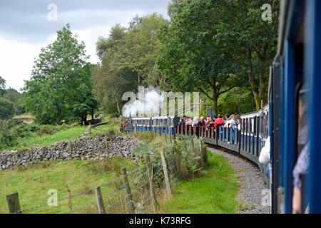 Dampfzug Passagiere entlang der Ravenglass und Eskdale Valley Railway, Cumbria, Großbritannien Stockfoto