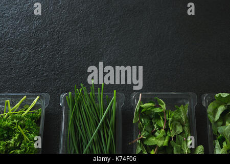 Verschiedene Arten von Kräutern in Kunststoff Fach auf schwarzem Hintergrund Stockfoto