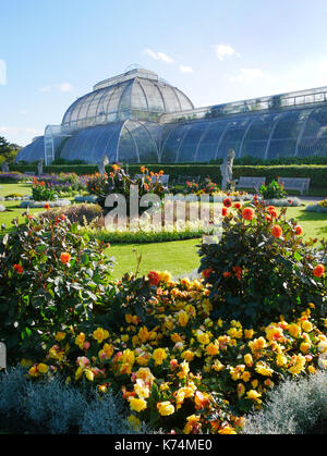 Europa, Großbritannien, England, London, Kew Gardens Palmenhaus Stockfoto