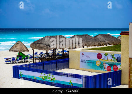 Das Marriott Casamagna Resort in Cancun Mexiko Stockfoto