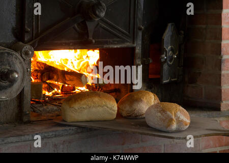 Backwaren: Brot gebacken in einem Holzofen Stockfoto